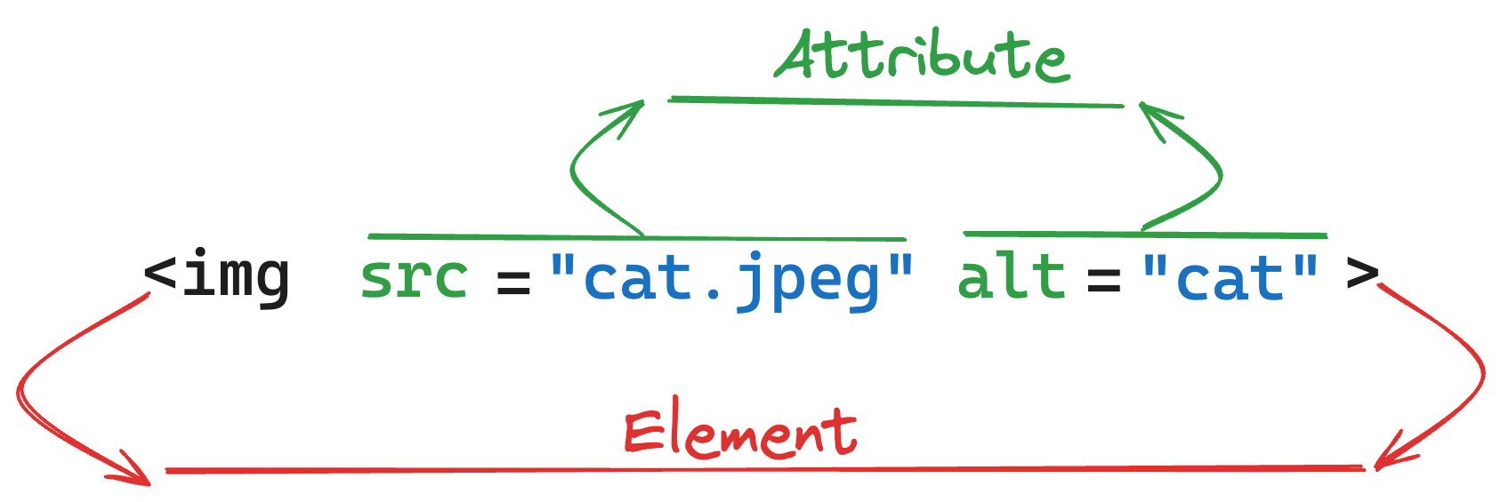 HTML Element's Attribute